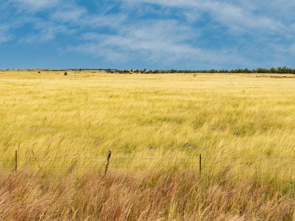 Route 66 Day 13: Who&nbsp;Knew?