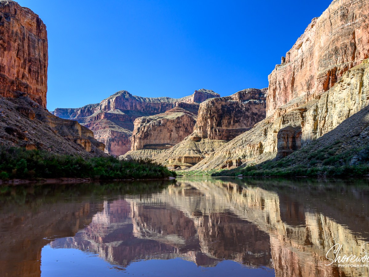 Grand Canyon Rafting Trip Day 3:                                           Rafts & Ringtails & Reflections! Oh&nbsp;My!