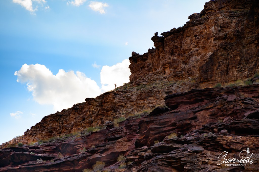 Grand Canyon Rafting Trip Day 4: Have A Good Day Gosh Darn-it!