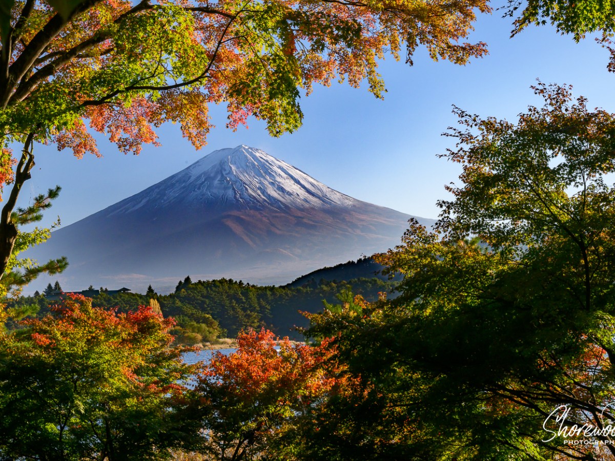 Southern Japan Cruise 2023: 2 Days to Embarkation:&nbsp;Itadakimasu
