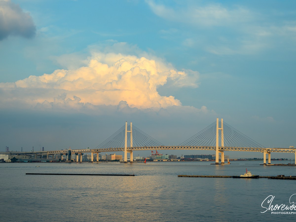 Southern Japan Cruise 2023: Day 1: Let’s Sail&nbsp;Away!