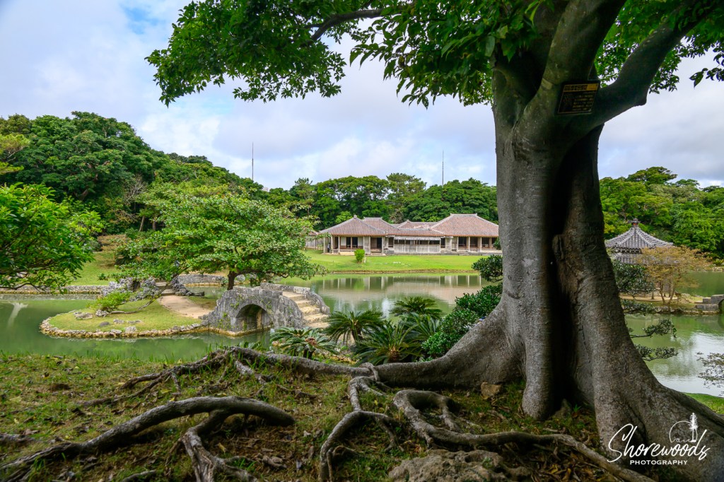Southern Japan Cruise Day 6: Among&nbsp;Friends