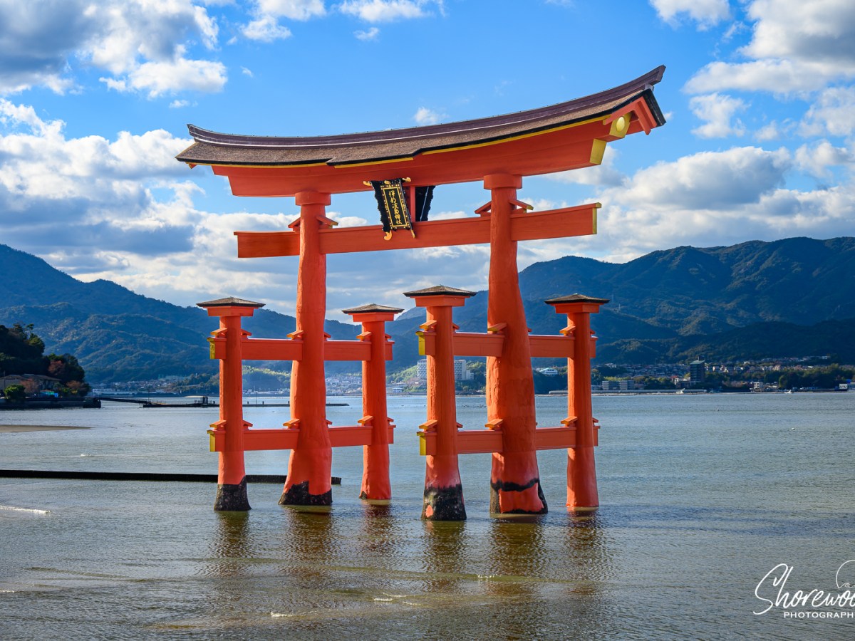 Southern Japan Cruise Day 10: The Firefly&nbsp;Effect