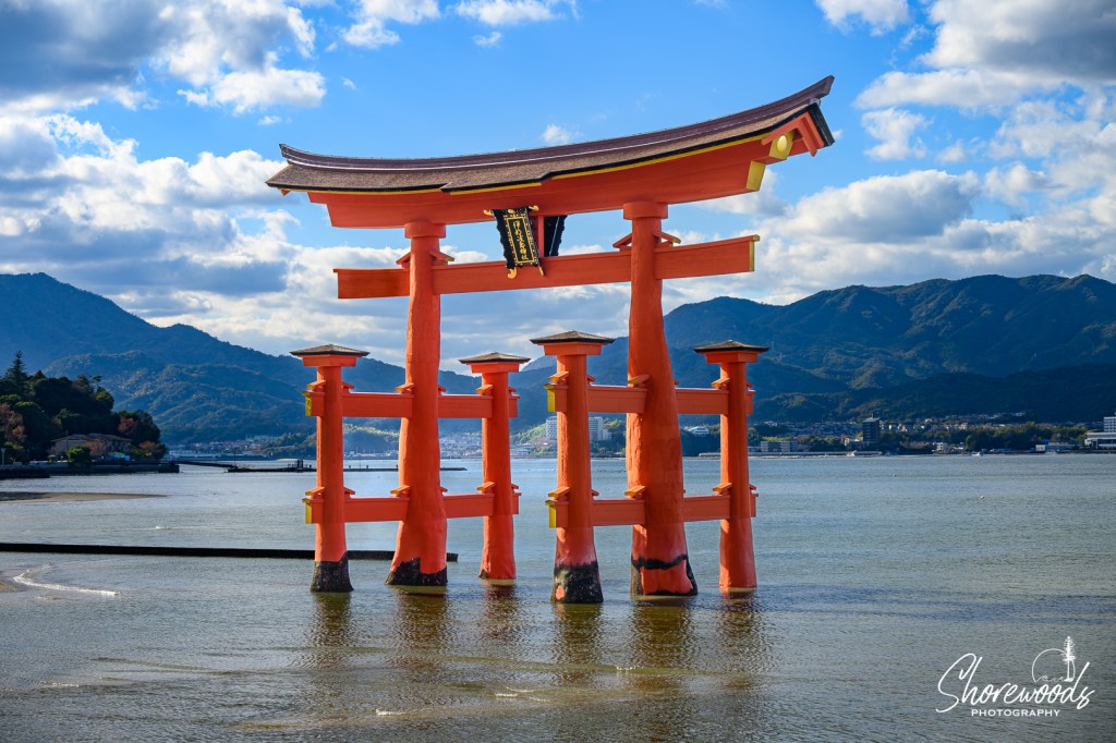 Southern Japan Cruise Day 10: The Firefly&nbsp;Effect