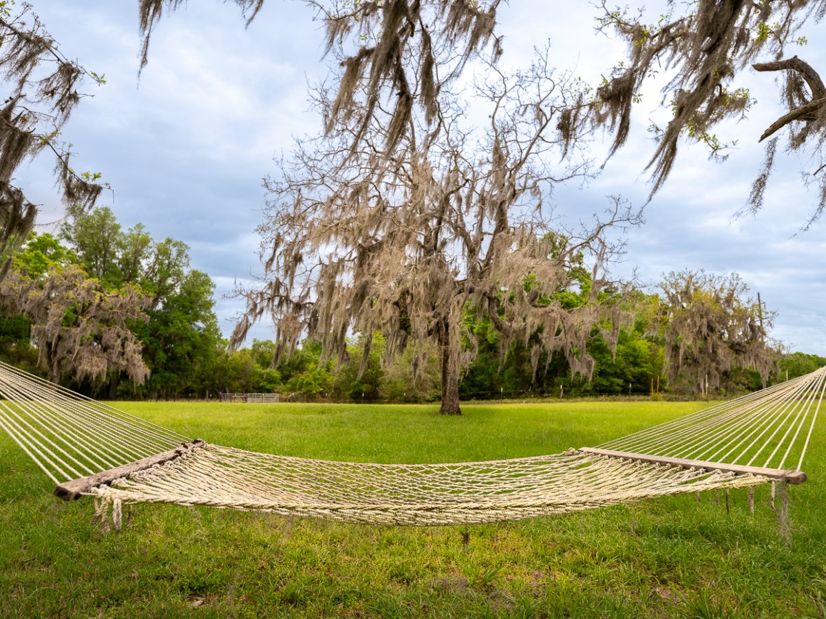 Florida Birding Trip: Planning, Prep & Farm&nbsp;Adventures