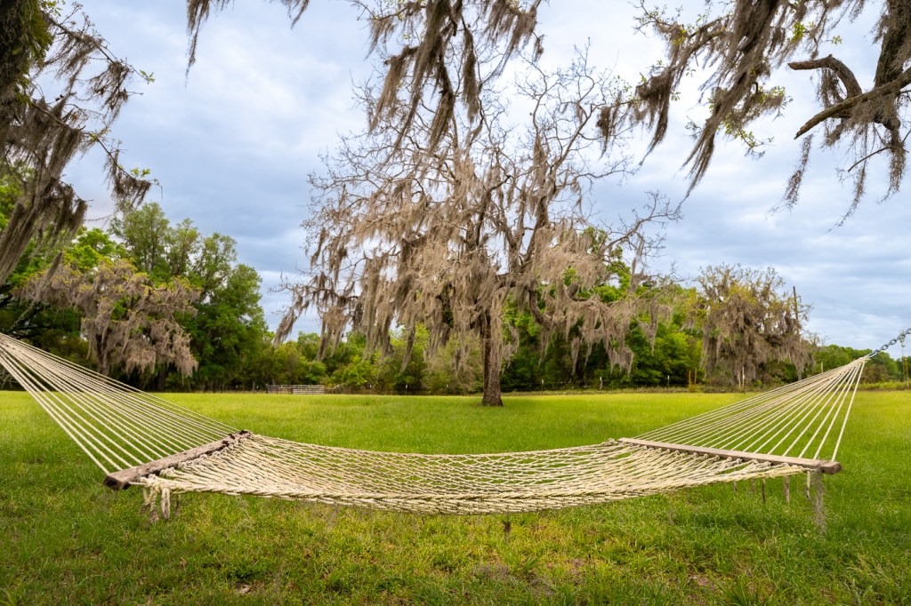 Florida Birding Trip: Planning, Prep & Farm&nbsp;Adventures