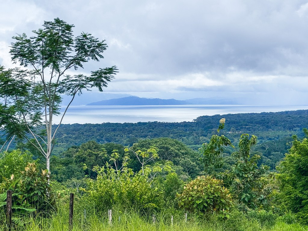 Costa Rica Wildlife Adventure Day 3: Lunch In The&nbsp;Rainforest
