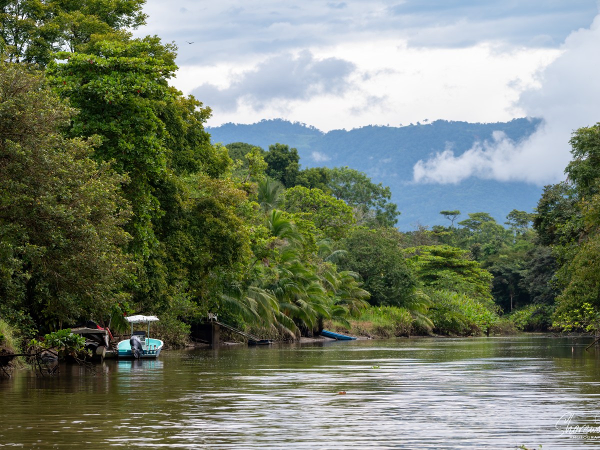 Costa Rica Wildlife Adventure Day 5: Take Me Down The&nbsp;River