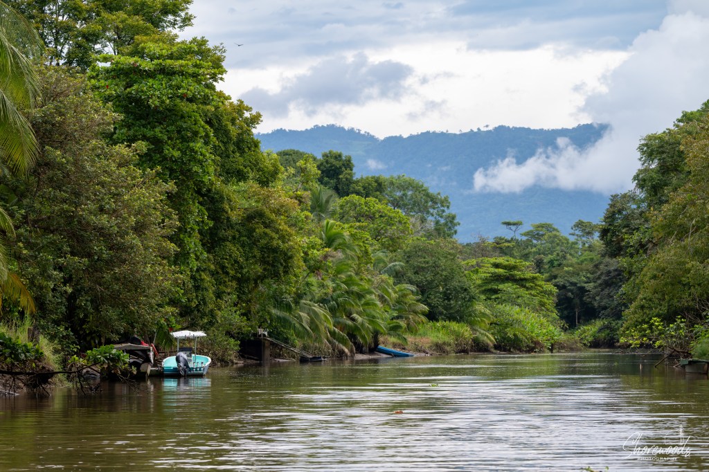 Costa Rica Wildlife Adventure Day 5: Take Me Down The&nbsp;River