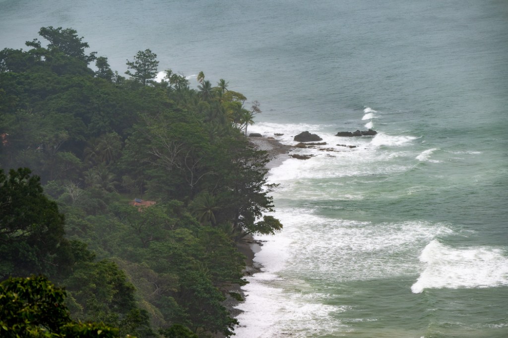 Costa Rica Wildlife Adventure Day 6: The Peace of Wild&nbsp;Things